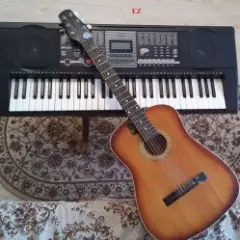 Обложка трека Shake lone Guitarist