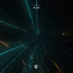 Обложка трека V.I.P.