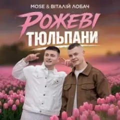 Обложка трека Рожеві Тюльпани