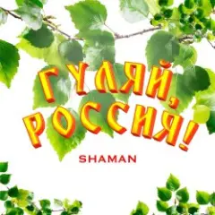 Обложка трека Гуляй, Россия!