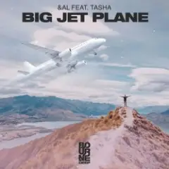 Обложка трека Big Jet Plane