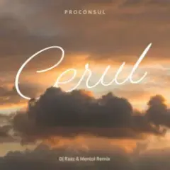 Обложка трека Cerul (Dj Razz & Mentol Remix)