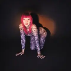 Обложка трека A Little Bit Wild