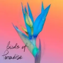 Обложка трека Birds Of Paradise