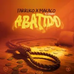 Обложка трека Abatido