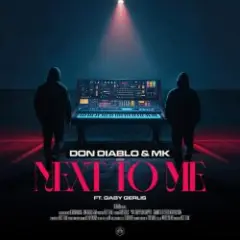 Don Diablo & MK — Next To Me (feat. Gaby Gerlis)