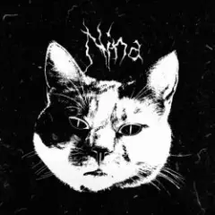 Обложка трека Disappointment & Hate
