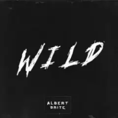Обложка трека Wild