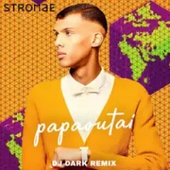 Обложка трека papaoutai (Dj Dark Remix)