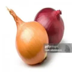 funny onion song