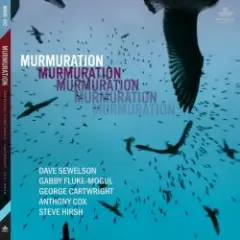 Обложка трека Murmuration
