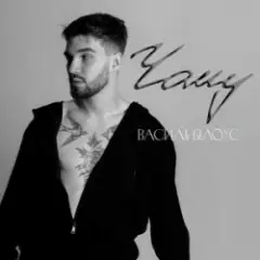 Василь Білоус — Чому