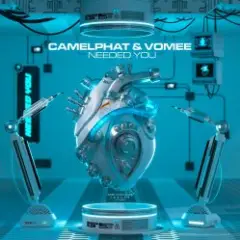 CamelPhat & Vomee — Needed You