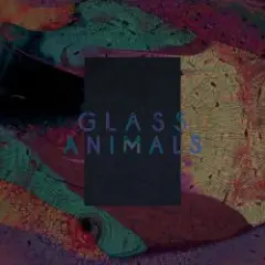 Glass Animals — Black Mambo