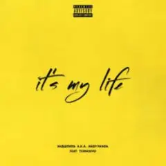 Эндшпиль feat. TumaniYO — It's My Life