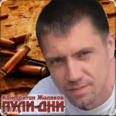 Константин Жиляков — Пули - дни