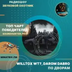 WILLTOX WT?, Darom Dabro — По дворам
