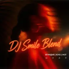 ВуИндия, Xcho, MOT x Tiesto — Шадэ (DJ SMILE Radio Edit)