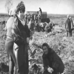 Обложка трека Голова колгоспу