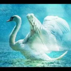 Обложка трека Save Me (Swan Lake)