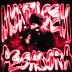 MONTAGEM PEGADORA
