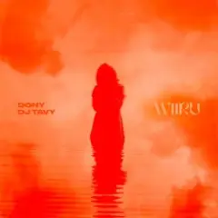 Dony & DJ TAVY — WIIRU