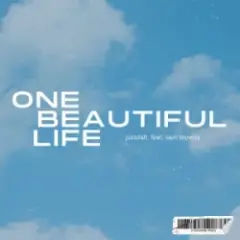 One Beautiful Life
