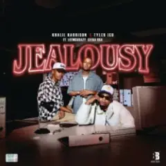 Обложка трека Jealousy (feat. Leemckrazy & Ceeka RSA)