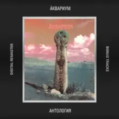 Аквариум — Время Любви Пришло