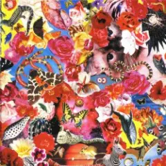 Обложка трека Про дурачка