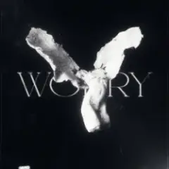 Обложка трека worry (ultra slowed)