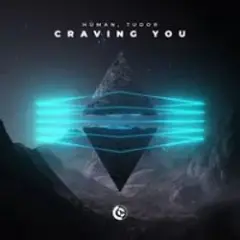 Обложка трека Craving You