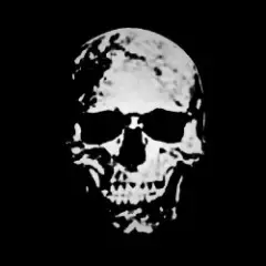 Обложка трека PSL (Slowed)