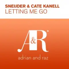 Letting Me Go (Original Mix)