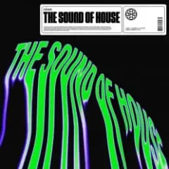 Обложка трека The Sound Of House (Extended Mix)
