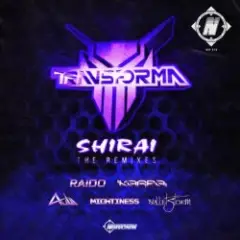 Обложка трека Shirai (Raido Remix)