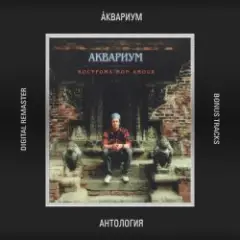 Обложка трека Русская Нирвана