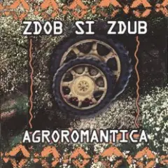 Zdob și Zdub — Tempo