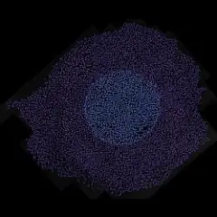 Floating Points — Miniature 27