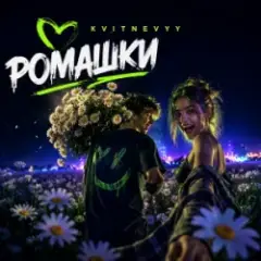 Ромашки