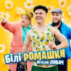 Білі ромашки