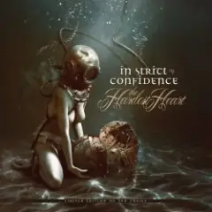 Обложка трека Somebody Else's Dream