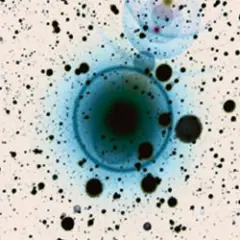 Zero 7 — Monday Night