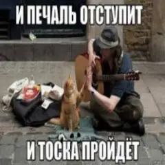 Человек И Кошка