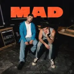 Обложка трека MAD (Dj Vianu Remix)