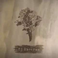 Bloodstream