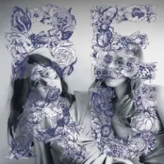 Bipolar Sunshine — Drowning Butterflies