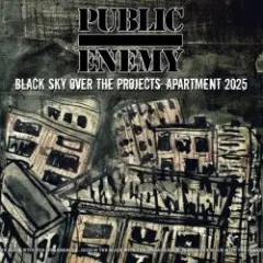 Public Enemy — Siick