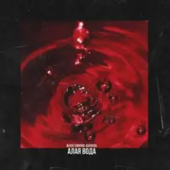 Blvck Cvrnvge — Requiem