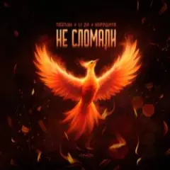 Не сломали
